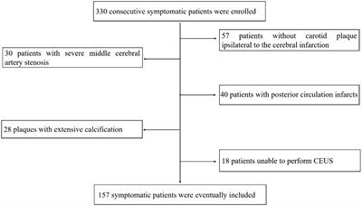 Association of cardiovascular risk factors and intraplaque neovascularization in symptomatic carotid plaque